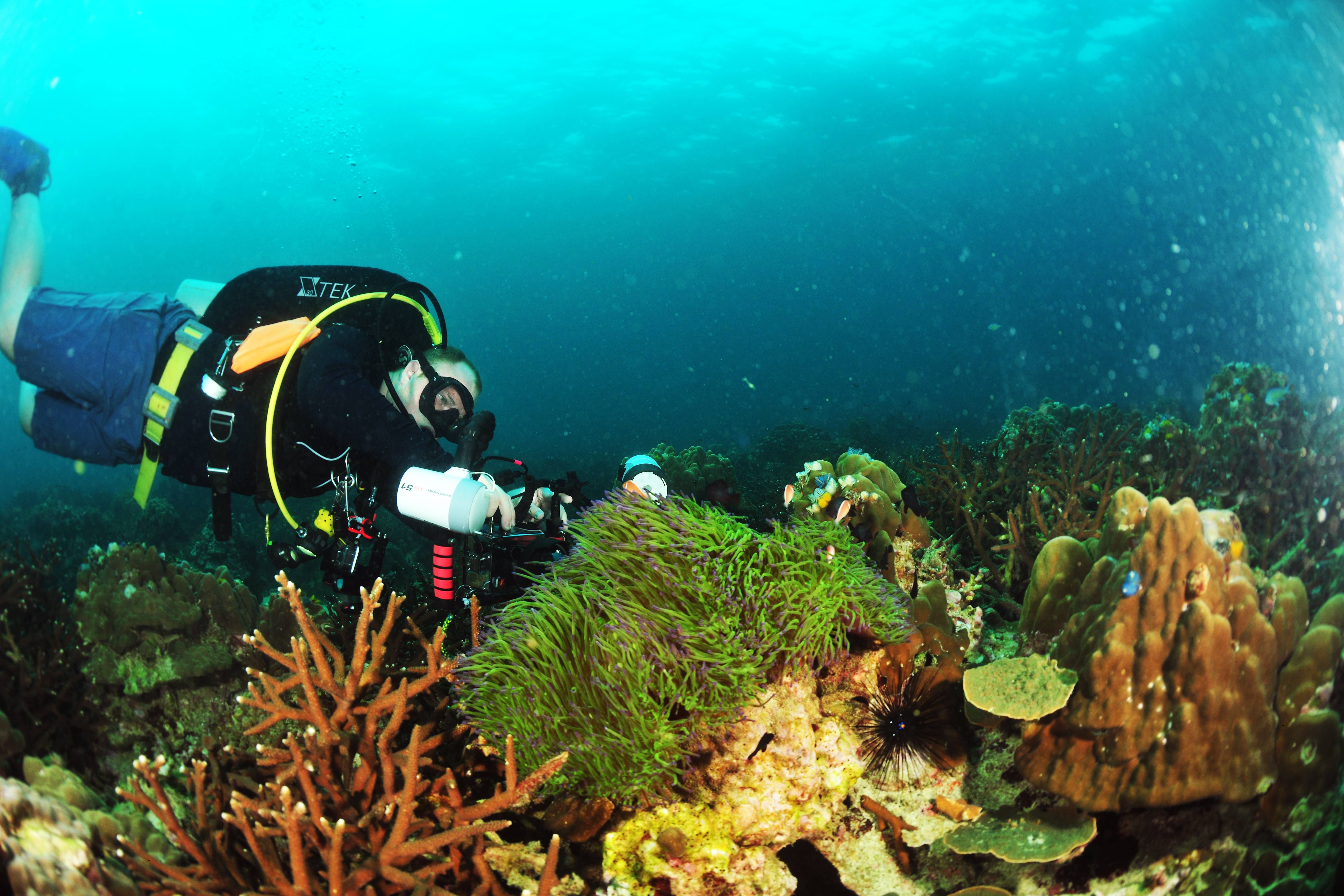 Deep Diver